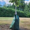 Tree Watering Bag