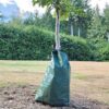 Tree Watering Bag - Image 3