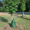 Tree Watering Bag - Image 2