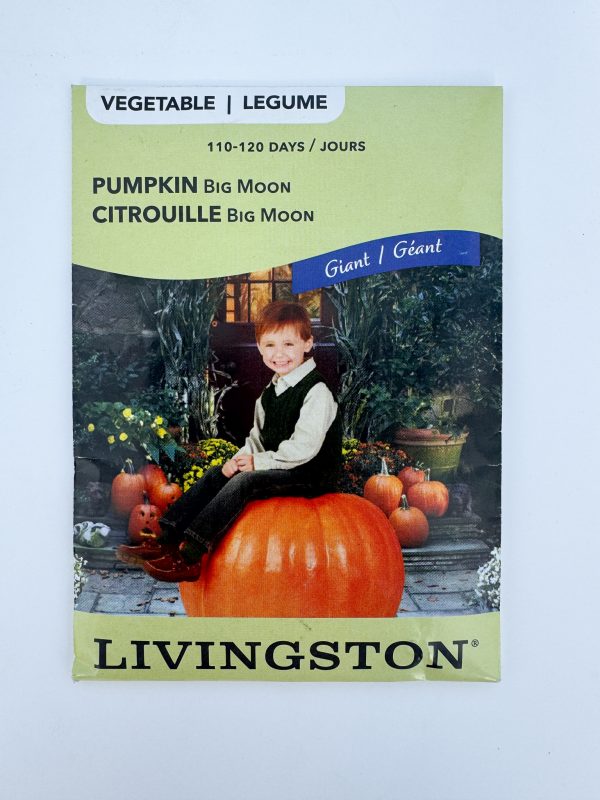 Big Moon Pumpkin Seeds