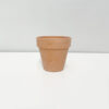 Whitewashed Terracotta Pots - Image 5