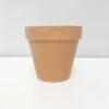 Whitewashed Terracotta Pots - Image 3