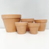 Whitewashed Terracotta Pots