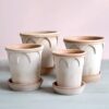 Bergs Potter Elizabeth Pot & Saucer - Antique Rose - Image 2