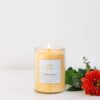 Soy Harvest Heritage Collection - Image 2