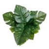 Faux Philodendron - Image 3