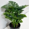 Faux Philodendron - Image 4