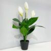 Faux Peace Lily