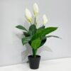 Faux Peace Lily - Image 2
