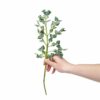 Mini Leaf Branch
