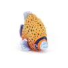 Fishiful Fish - Image 2