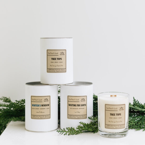 Soy Harvest Timberflame Candles - Seasonal Collection
