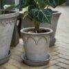 Bergs Potter Grey Elizabeth Pot & Saucer