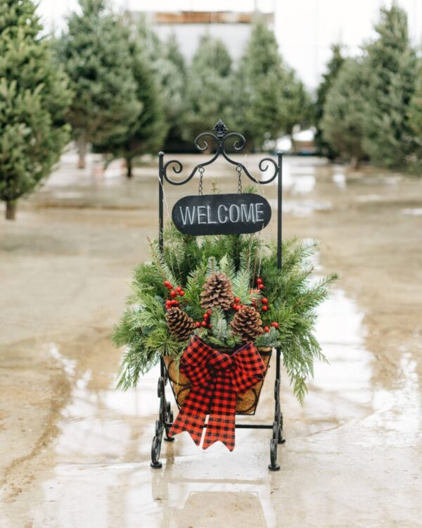 Welcome guests to your front door this holiday season with a Holiday Welcome Planter!
