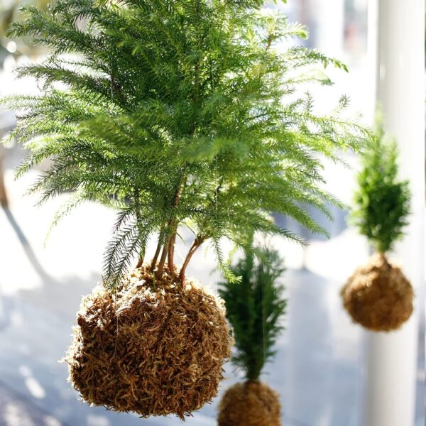 Create a Holiday Hanging Kokodema at our fun and interesting workshop!
