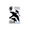 Bird Alert Window Decals - Image 2