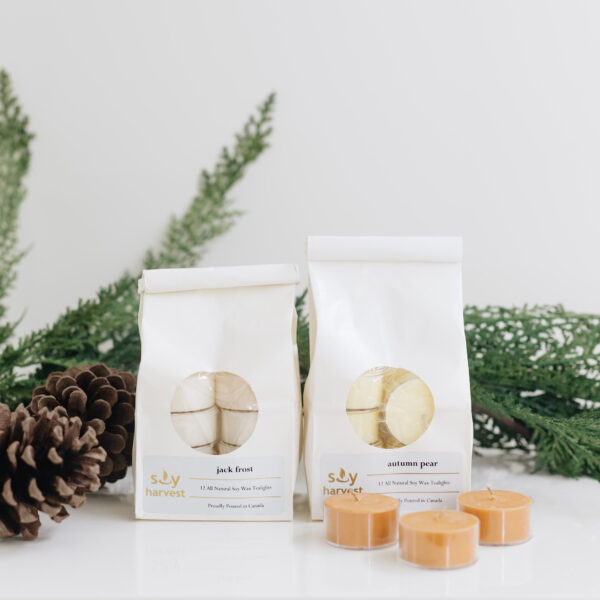 Soy Harvest Tealights - Seasonal Collection