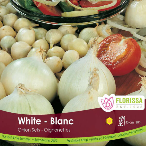 White Onion Set