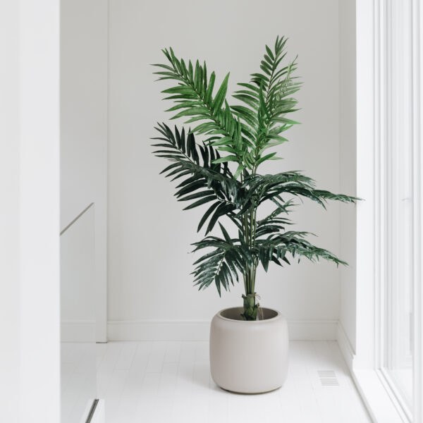Lifelike Kentia Palm Plant